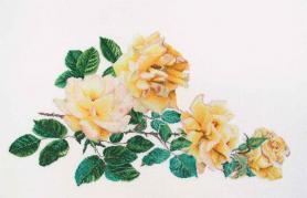 Набор для вышивания Thea Gouverneur 429 «Жёлтые розы»
